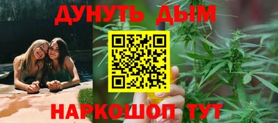 твердый Кингисепп