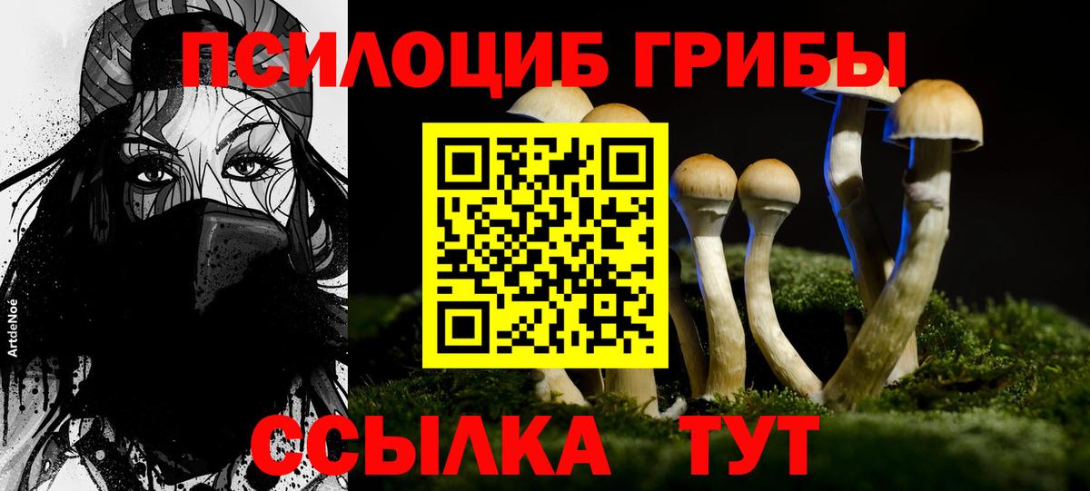 Кострома  Псилоцибиновые грибы Psilocybine cubensis  Вход с VPN 